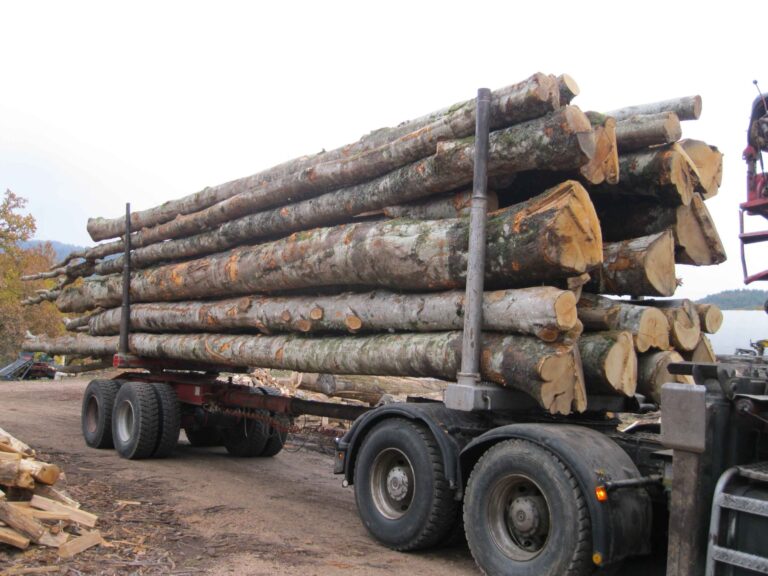 Camion de 30m3 Hêtre, Chêne, Charme en grume